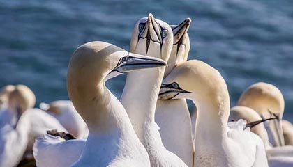 开云体育入口-圣西罗惊雷！AC米兰遭勇士重创，意甲王座暗战升级