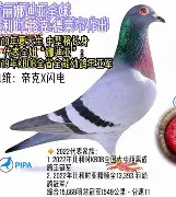 巴斯克利舍夺冠在望,势如破竹,掌声雷动的简单介绍 巴斯克利舍夺冠在望,势如破竹,掌声雷动的简单介绍