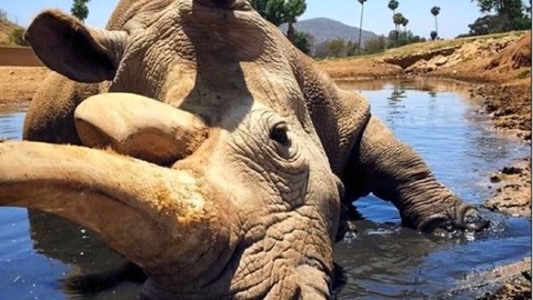 开云体育平台APP-全球热议！足球场外八卦引关注