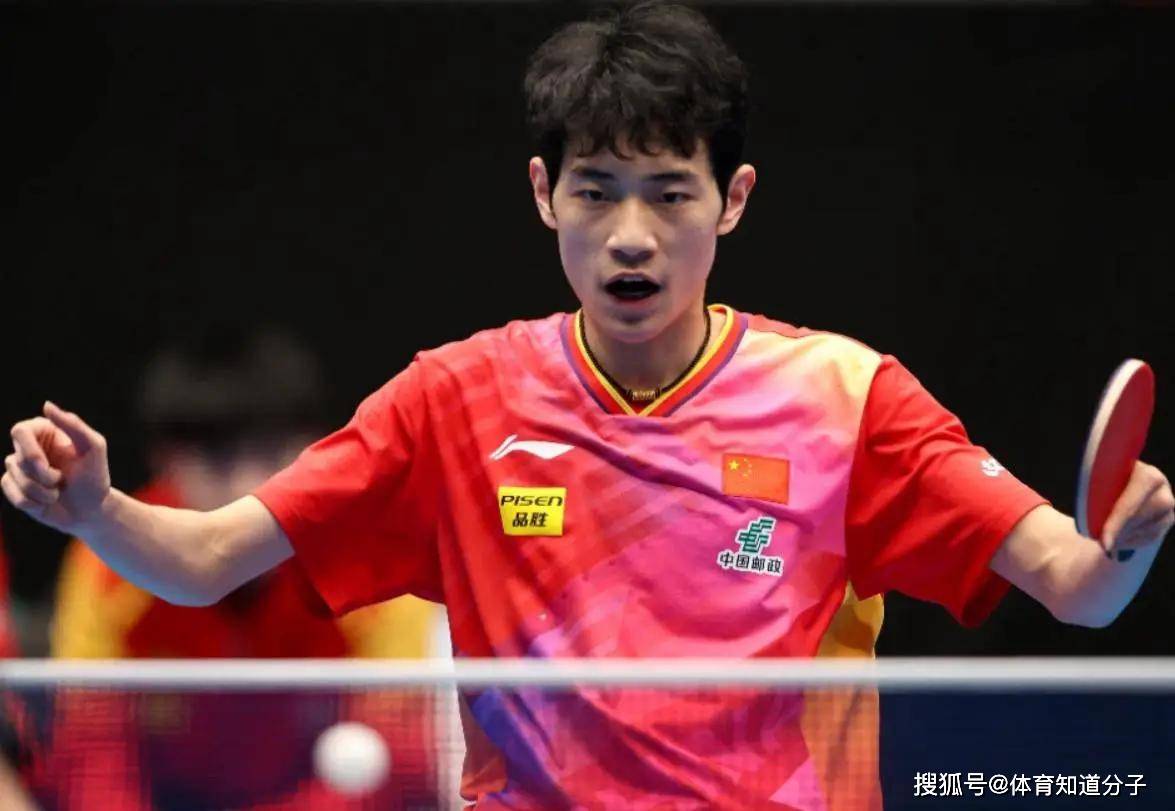 中国队逆转波兰队，张本智和状态火热的简单介绍