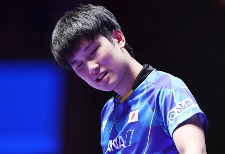 中国队逆转波兰队，张本智和状态火热的简单介绍